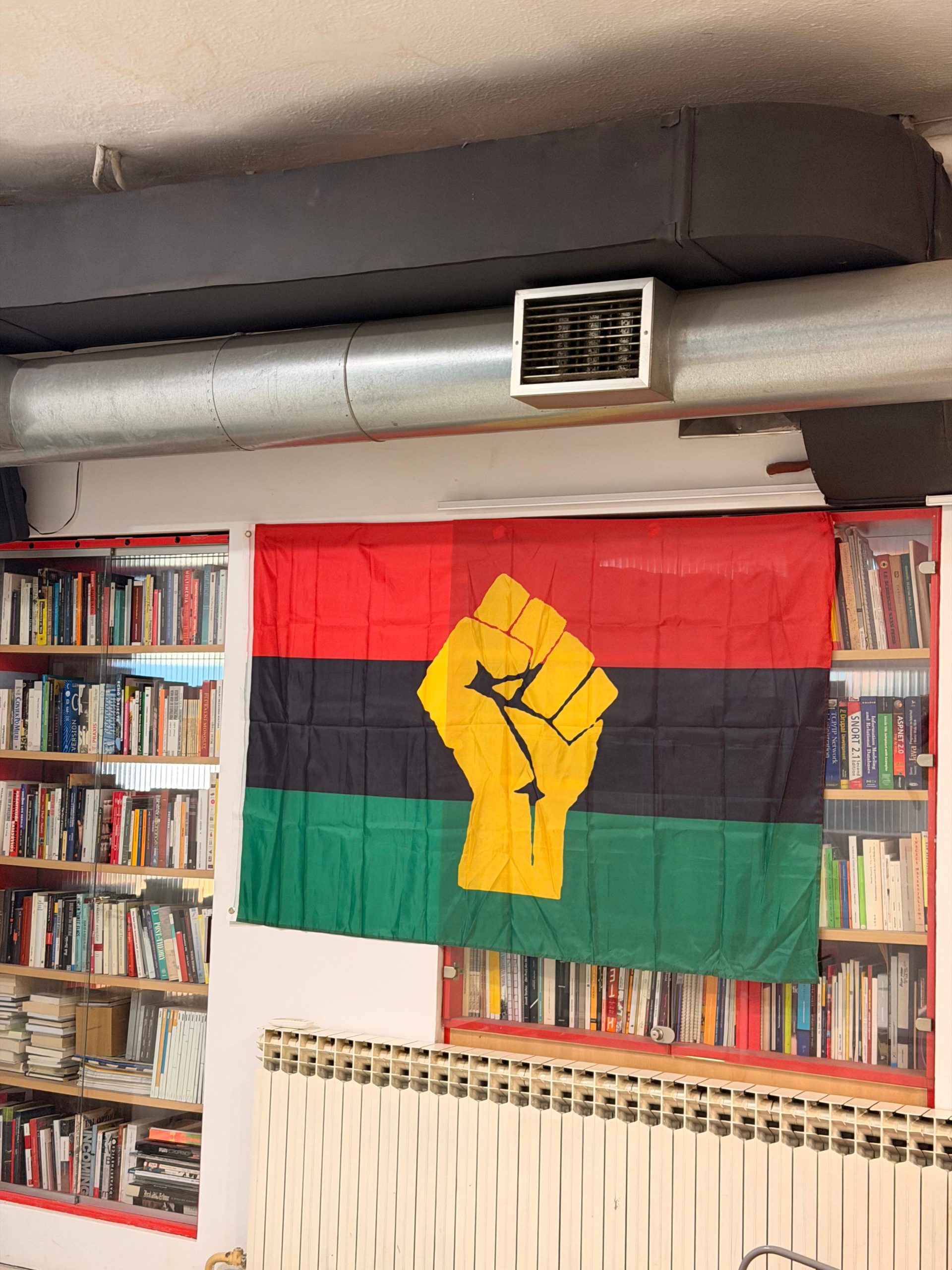 Integracijska iskustva afričkih migranata