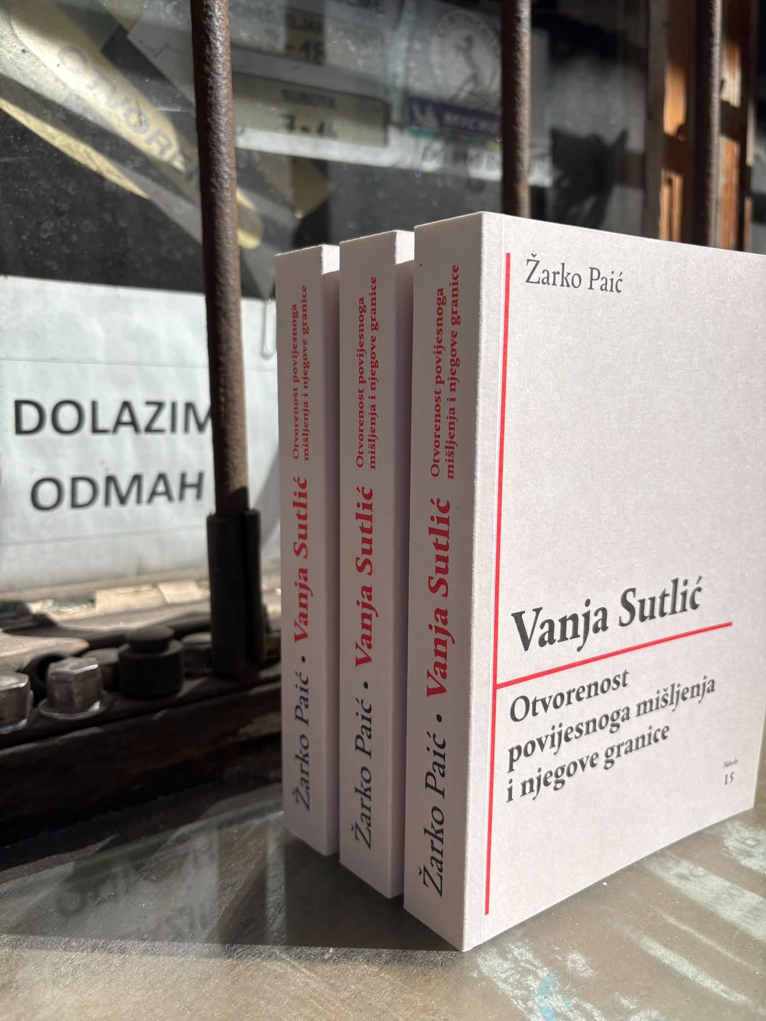 Žarko Paić: Vanja Sutlić — Otvorenost povijesnoga mišljenja i njegove granice